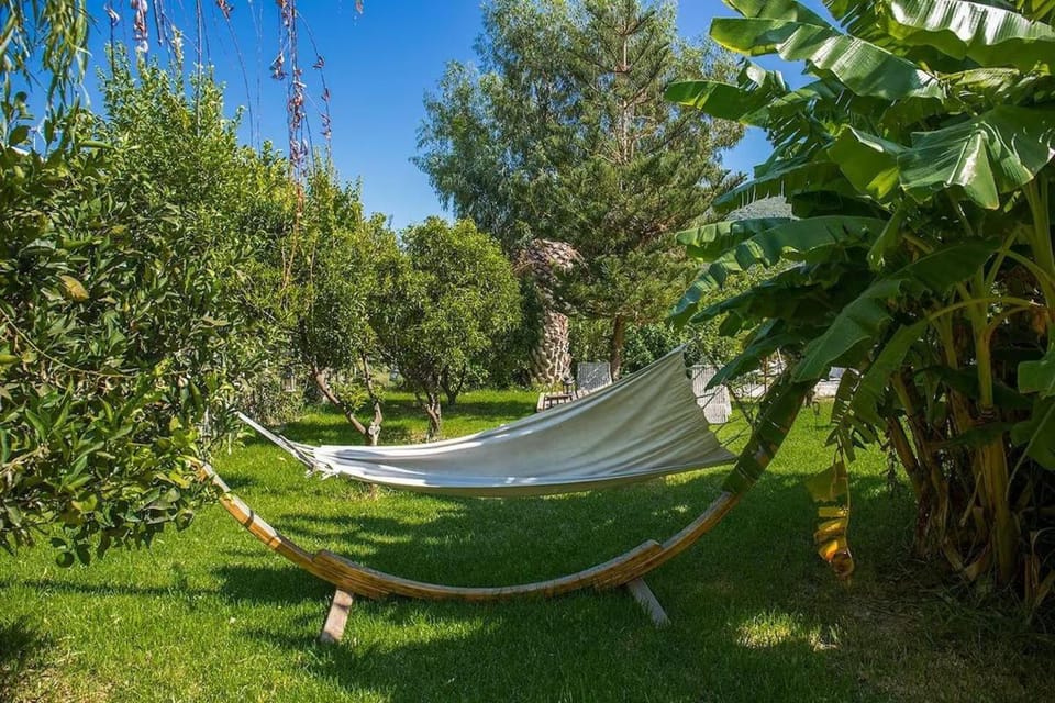 Stavlos Cottage Apartment in Vasiliki