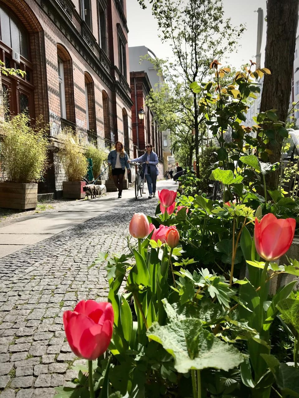 Property building, Spring, Day, Neighbourhood, Street view