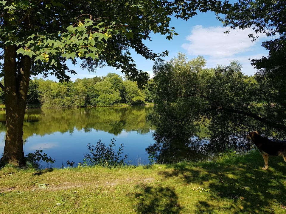 Natural landscape