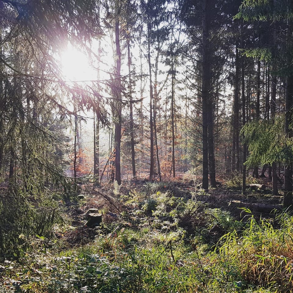 Natural landscape, Hiking