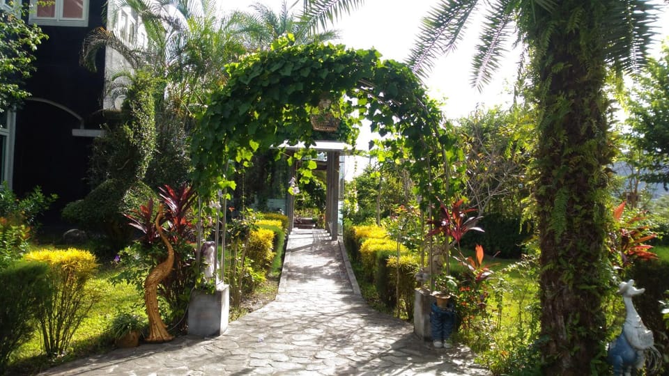Garden view