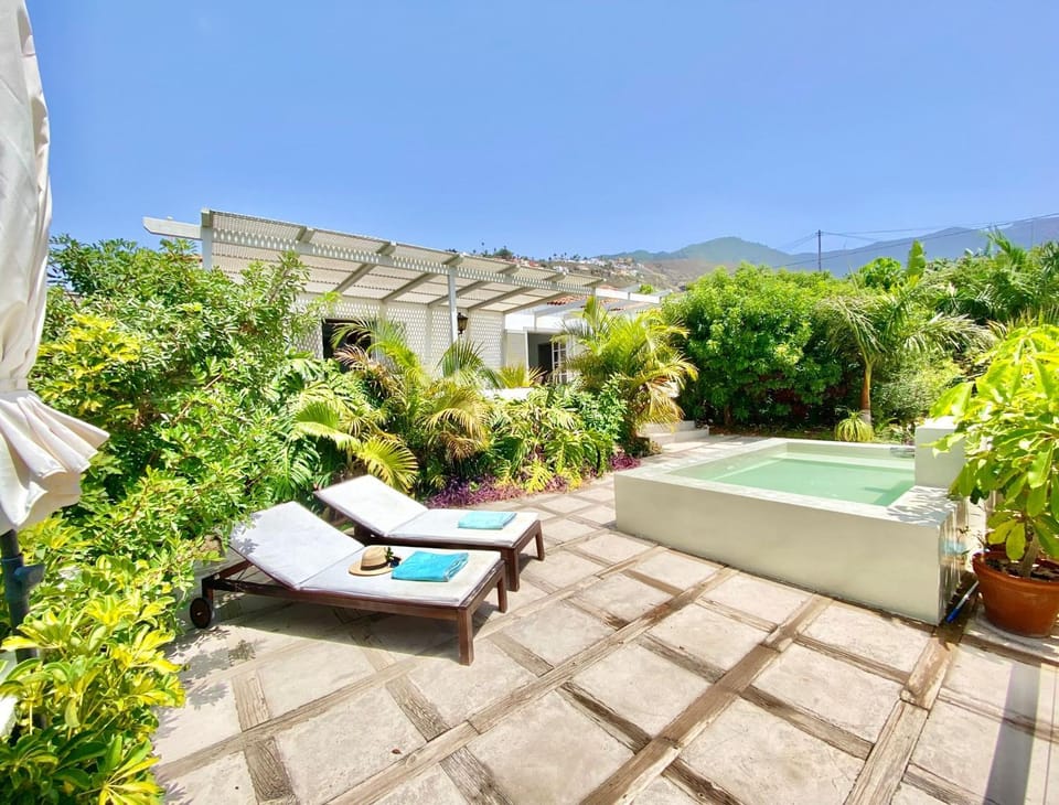 Patio, Day, Natural landscape, Garden, Solarium, Garden view, Pool view, Swimming pool, sunbed