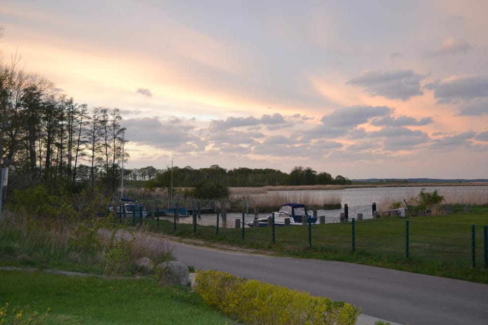 Lake view