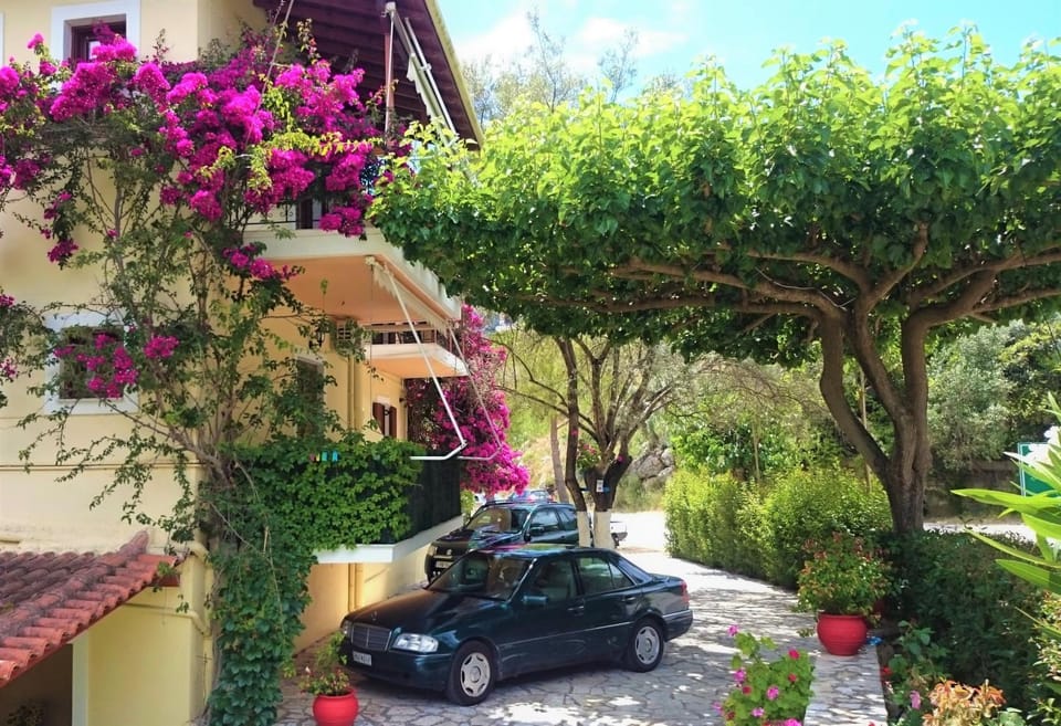 Property building, Spring