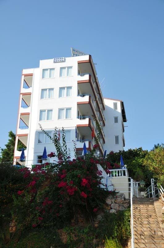 Property building, Day
