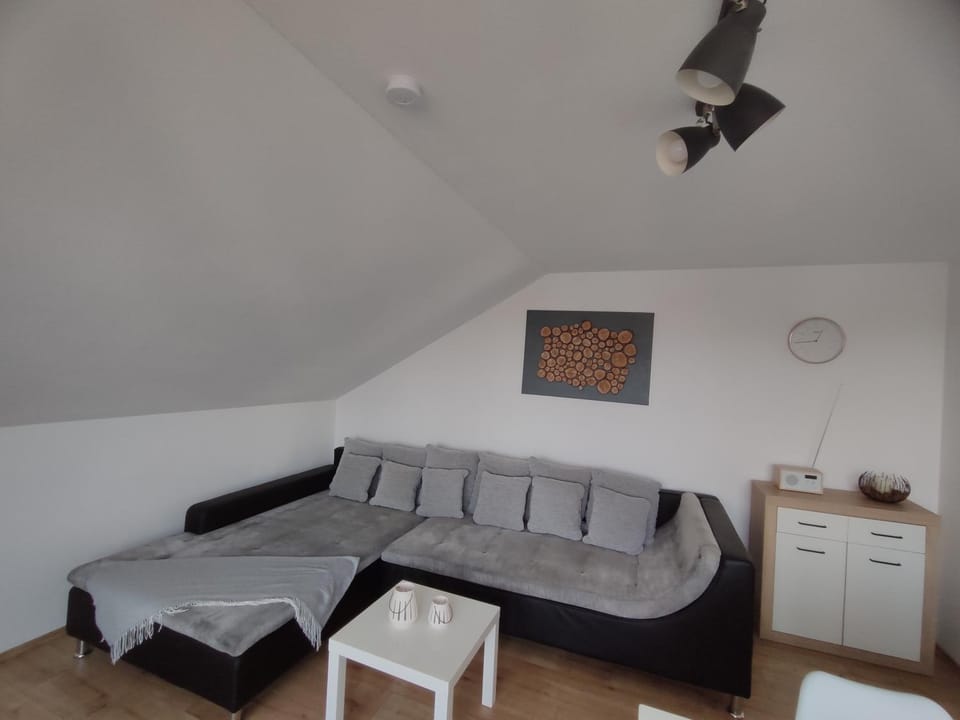Living room, Photo of the whole room, Seating area