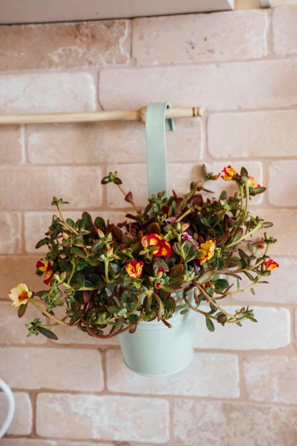 Appartamento Antico Pozzo Apartment in Martina Franca