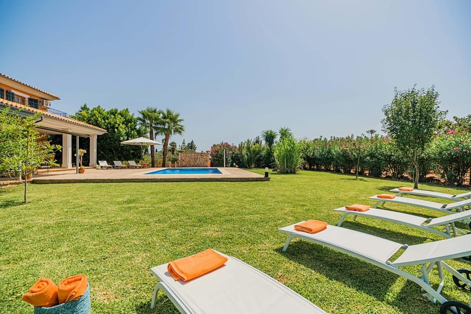 Garden, Garden view, Pool view, Swimming pool, sunbed