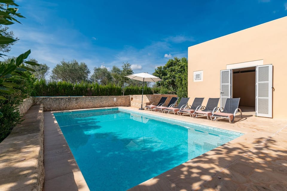 Patio, Day, Swimming pool, sunbed