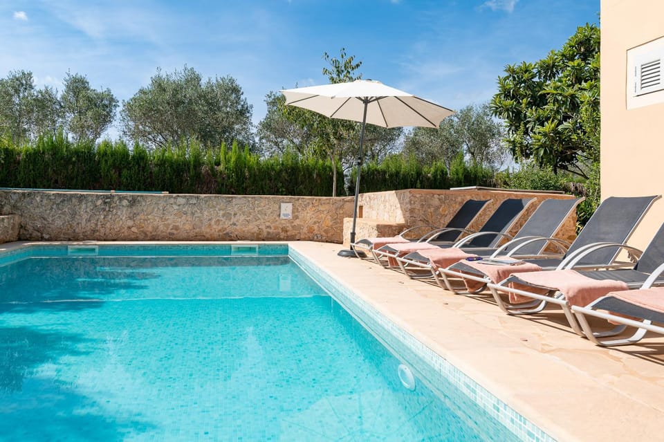 Patio, Day, Swimming pool, sunbed