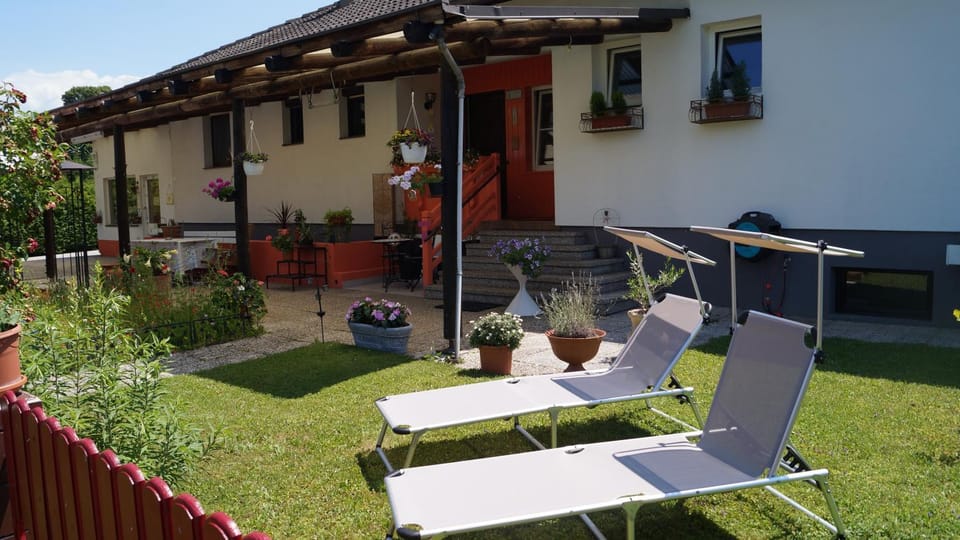 Patio, Day, Summer, Garden, Garden view