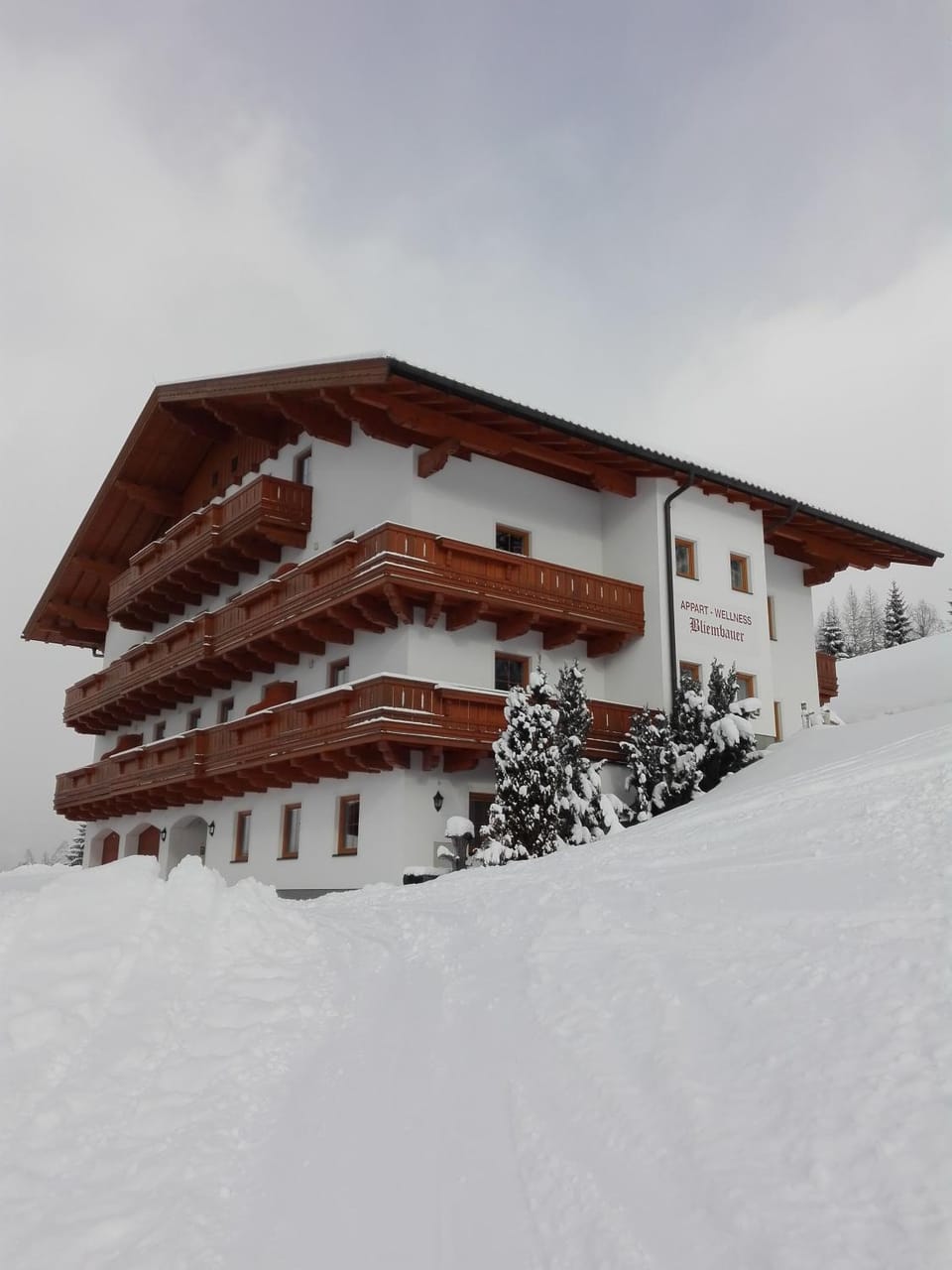 Berggasthof Bliembauer Hotel in Salzburgerland