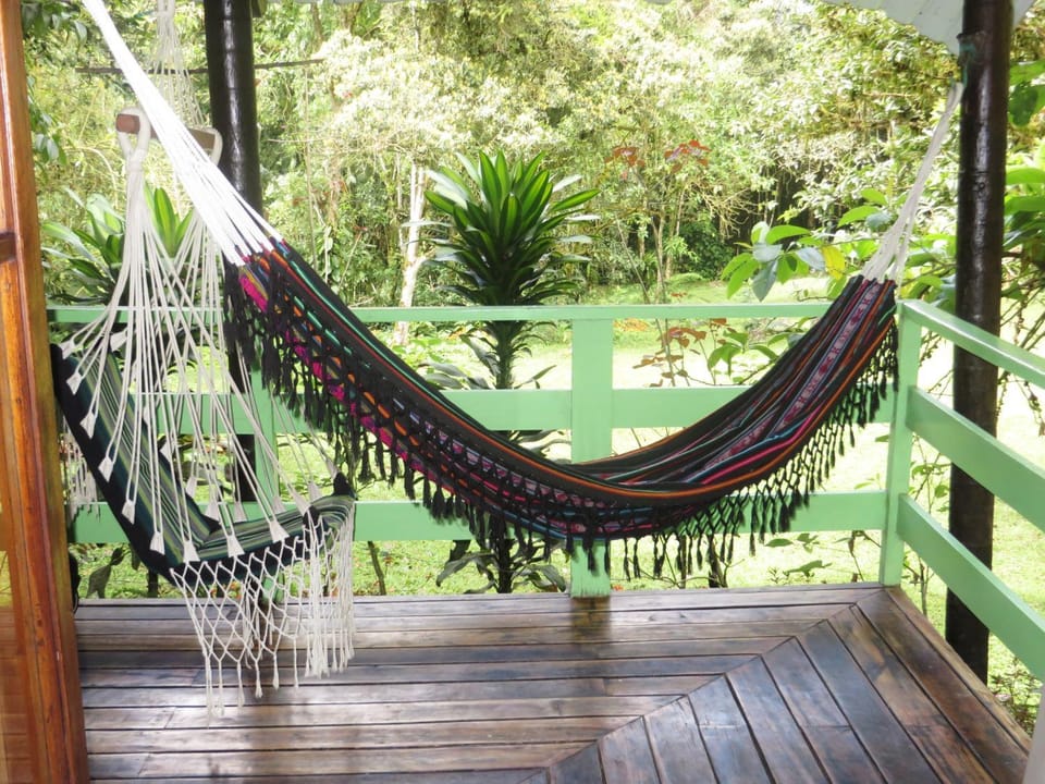 Patio, Garden, Balcony/Terrace, Balcony/Terrace