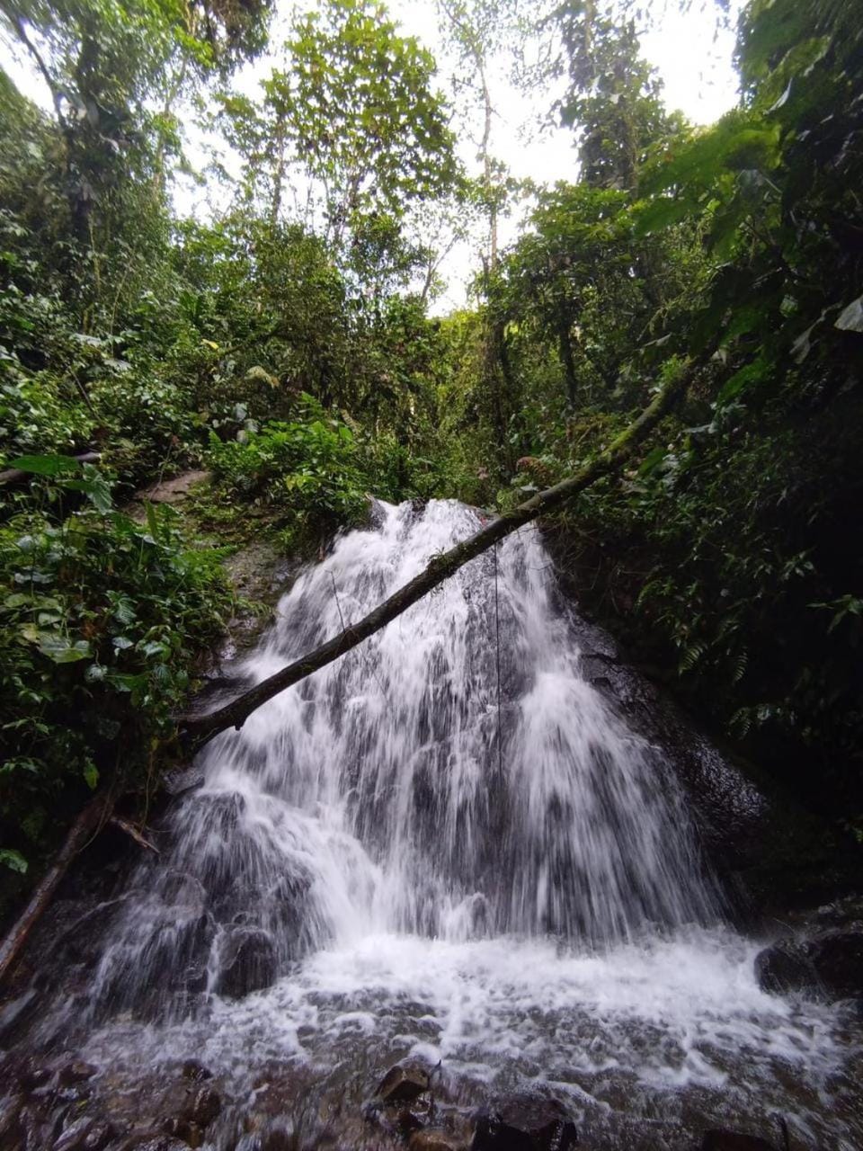 Natural landscape, Activities