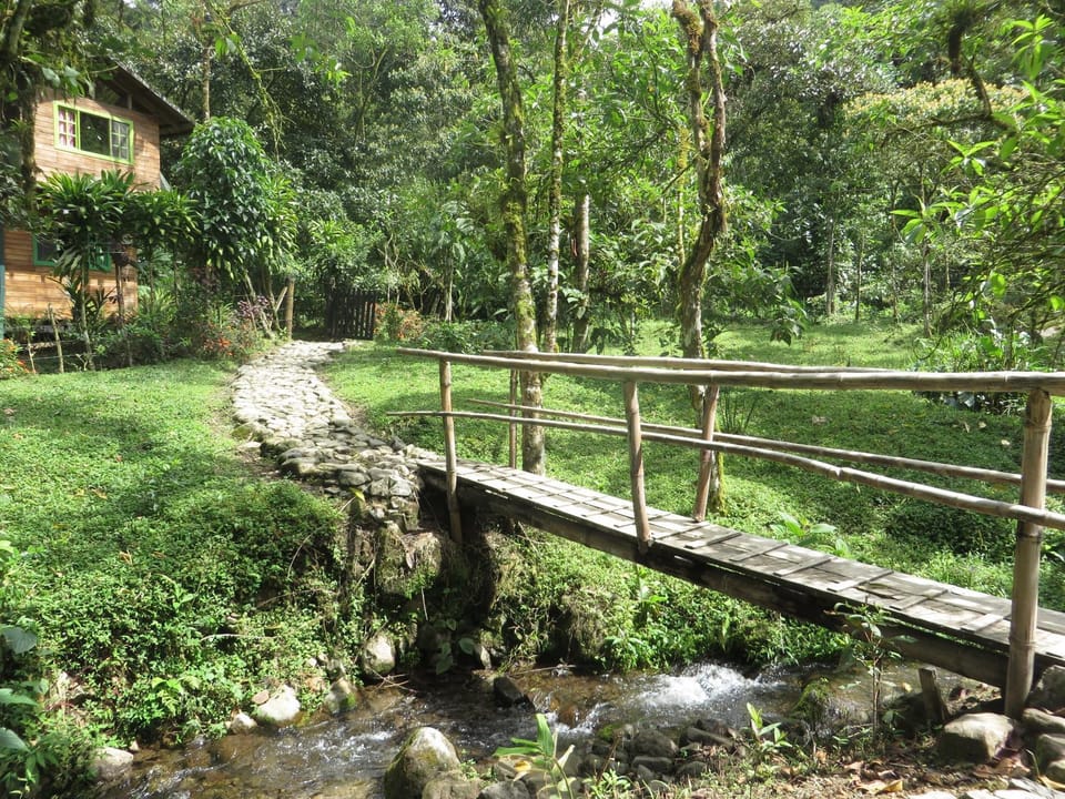 Natural landscape, Garden, Hiking, Garden view, River view