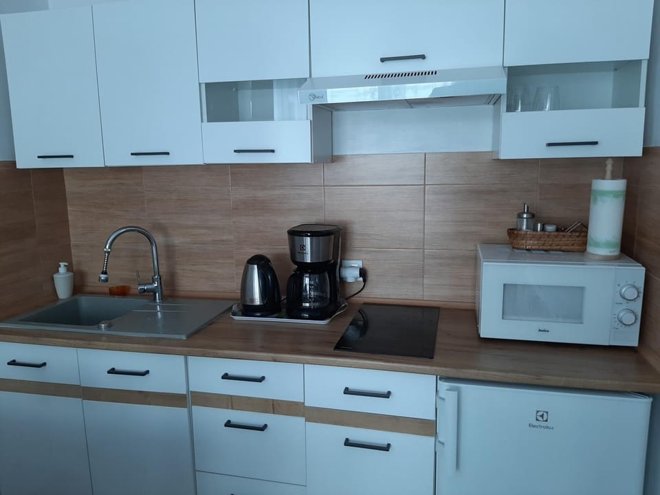 Kitchen or kitchenette, minibar, stove