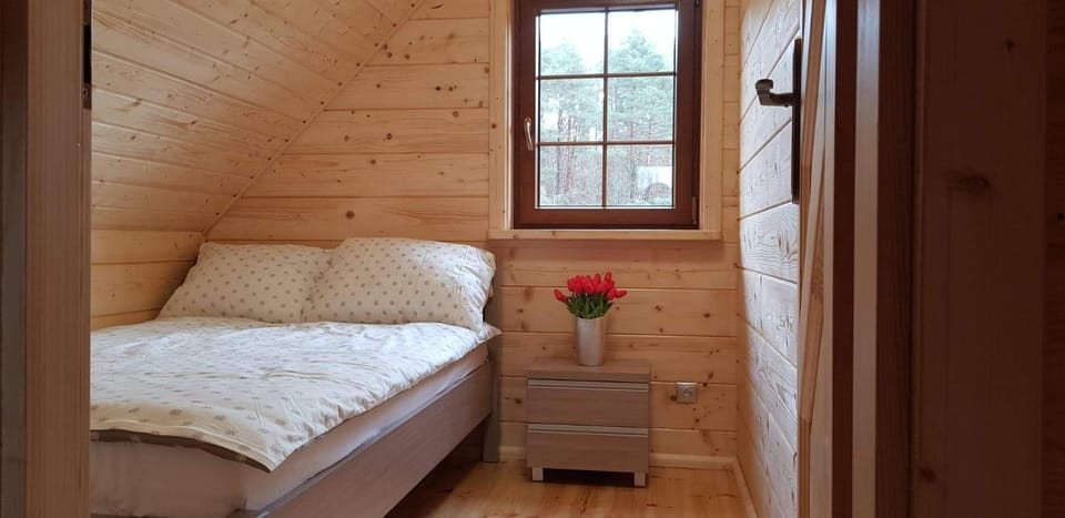 DOMEK AGA Nature lodge in Lithuania