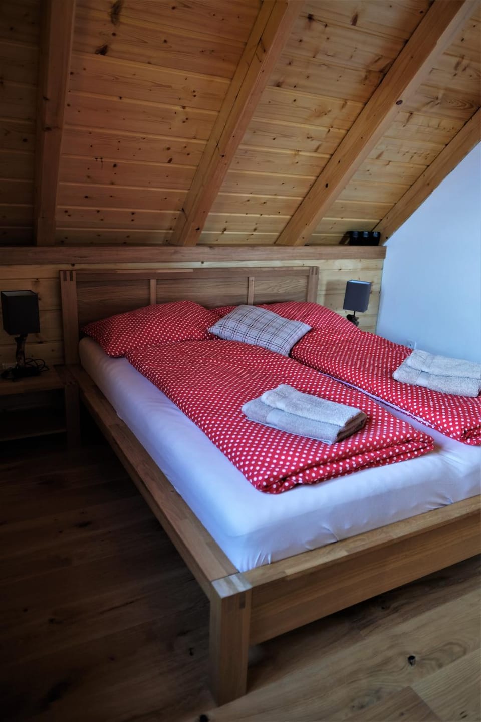 u mistra vichra Apartment in Lower Silesian Voivodeship