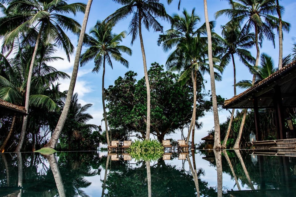 Garden, Swimming pool