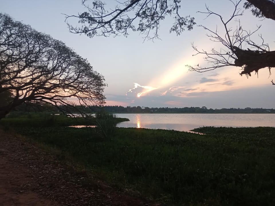 Sunrise
