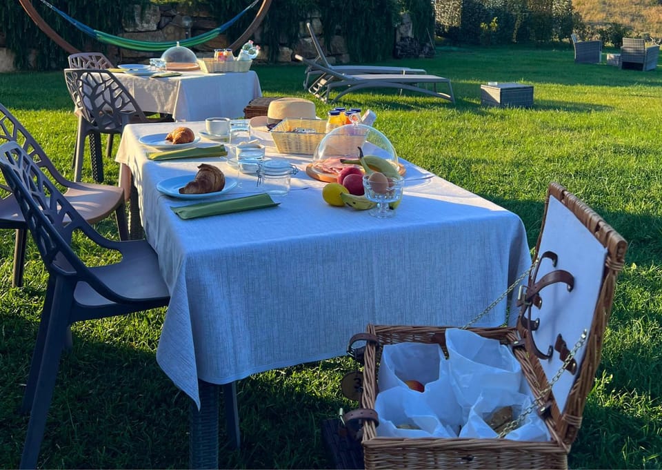 Spring, Day, Garden, Food and drinks, Dining area, Food, Garden view, Breakfast, Buffet breakfast, Italian breakfast