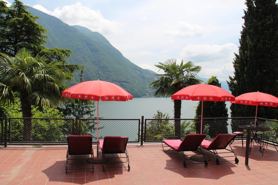 Swimming pool, sunbed