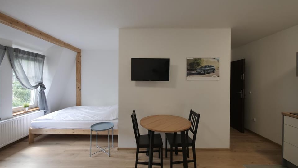 Bed, TV and multimedia, Kitchen or kitchenette, Living room, Photo of the whole room, Seating area, Dining area, Bedroom