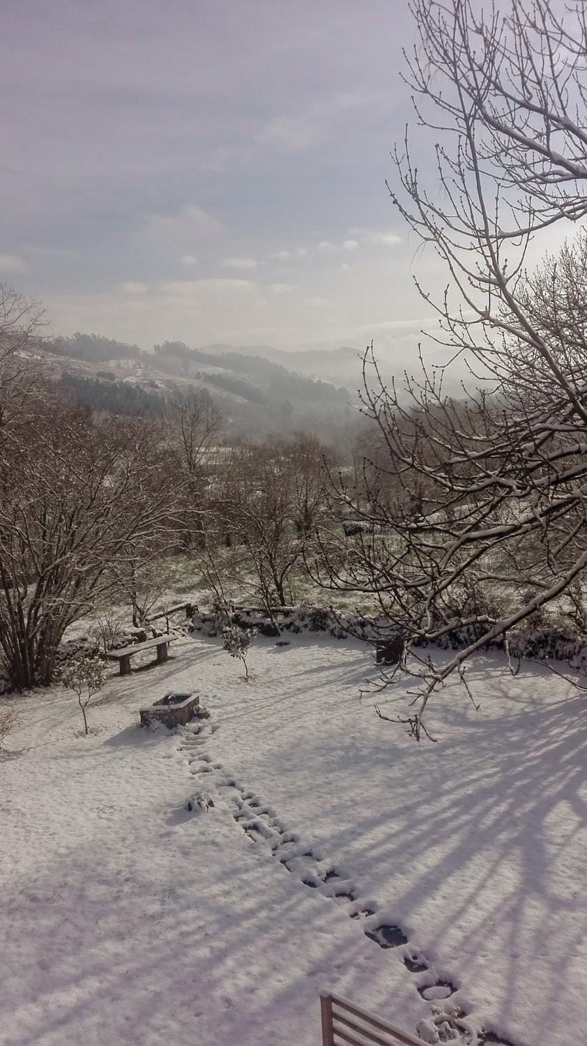 Winter, Mountain view