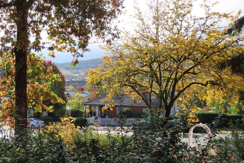 View (from property/room)