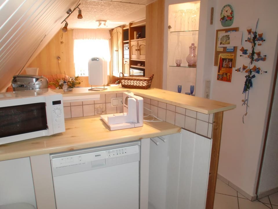 Kitchen or kitchenette, dishwasher