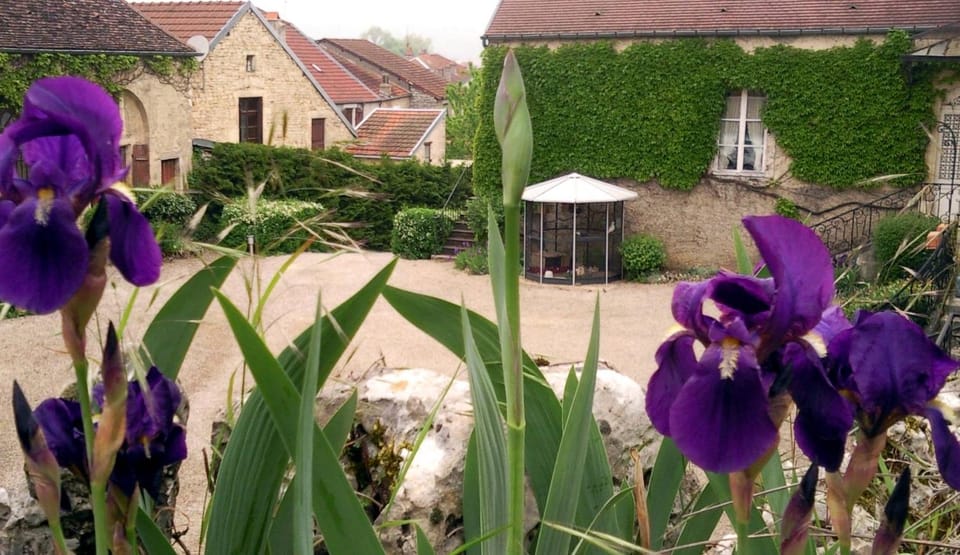 Inner courtyard view