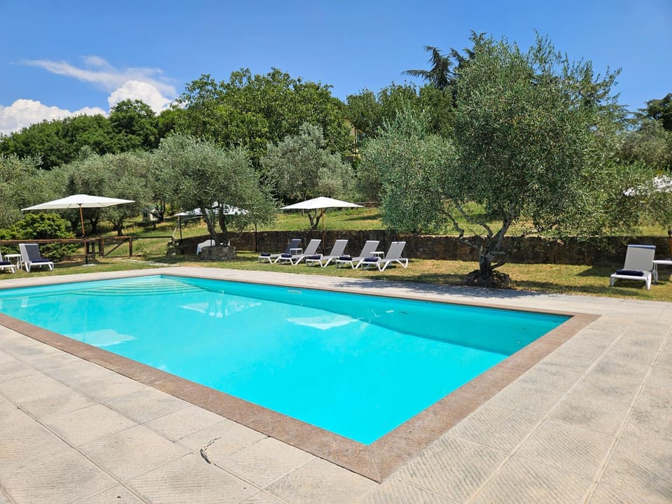 Swimming pool, sunbed