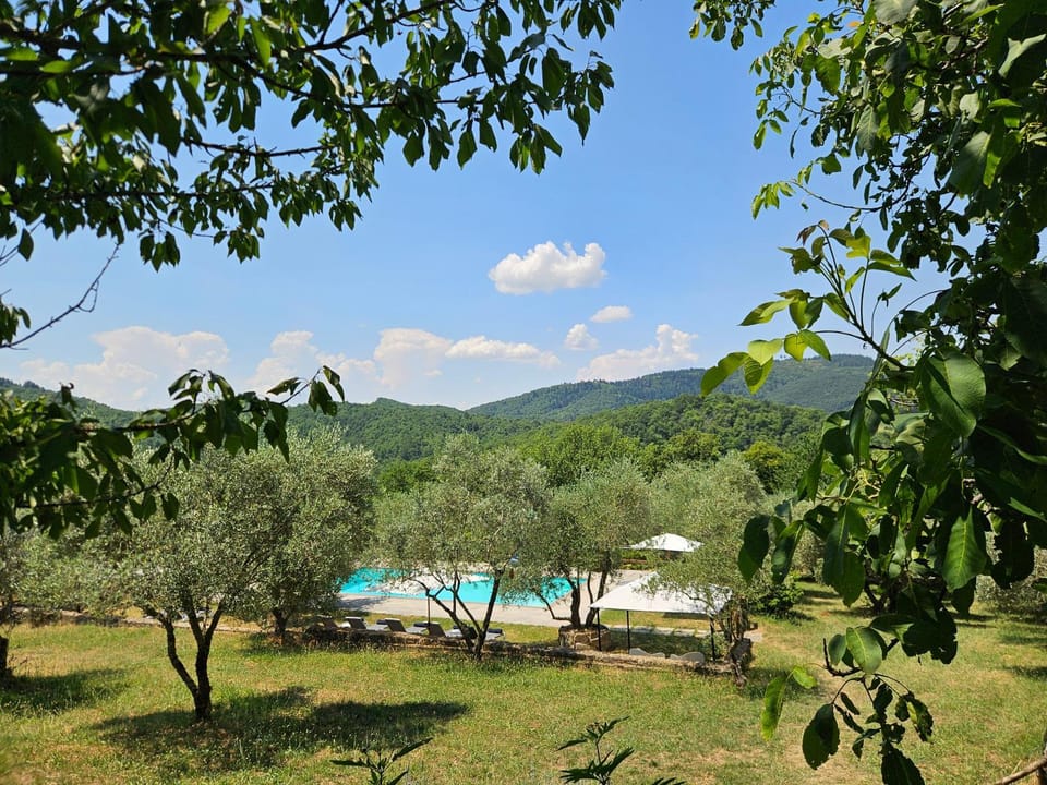 Natural landscape, Garden, Mountain view, Pool view