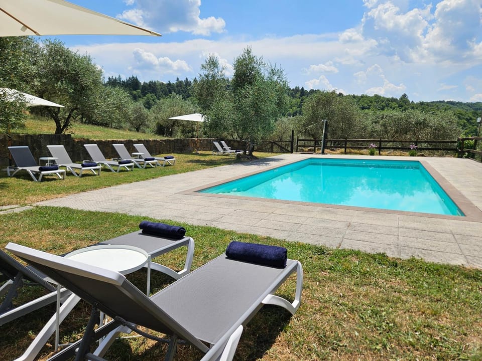 Swimming pool, sunbed