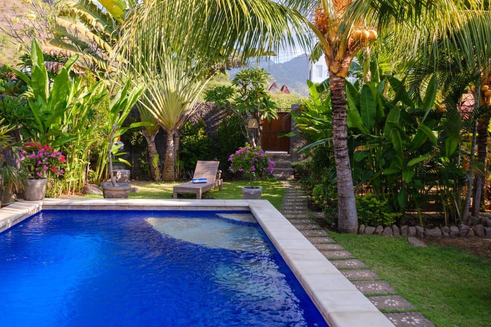 Garden, Swimming pool