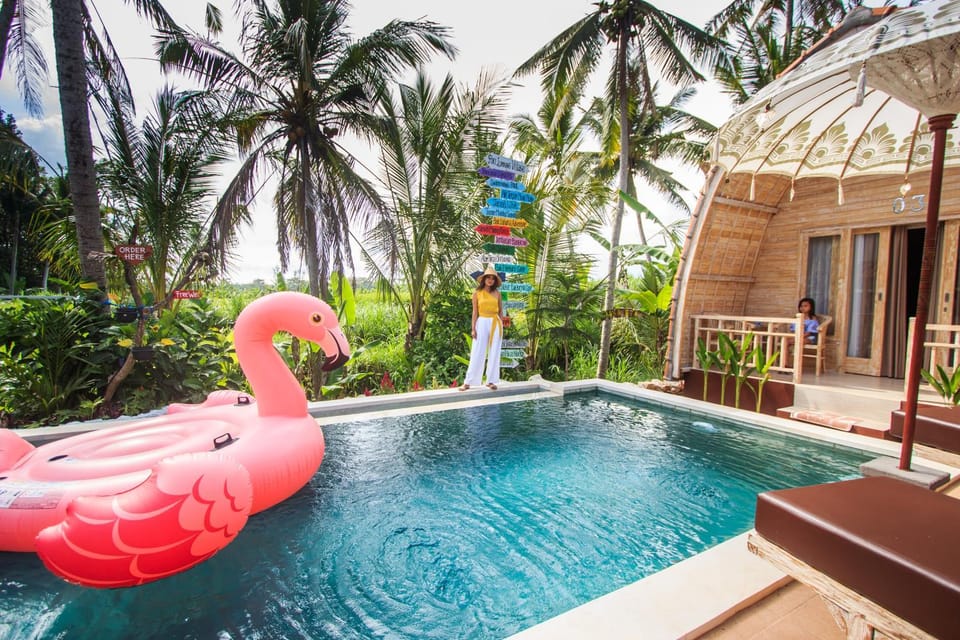 Swimming pool, Swimming pool