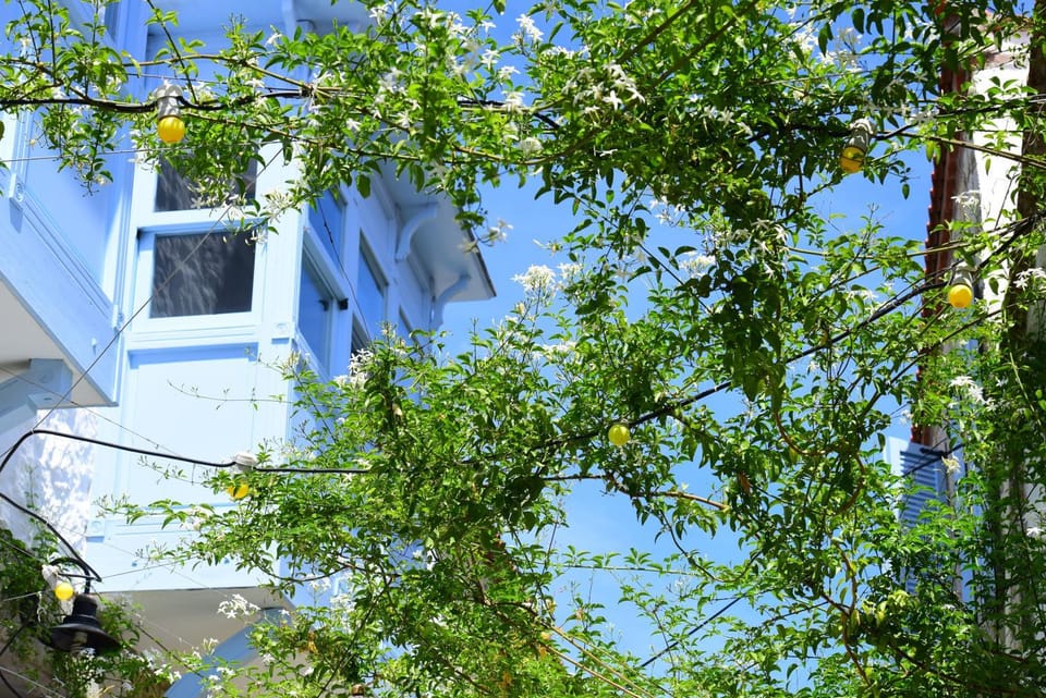 Decorative detail, On site, Location