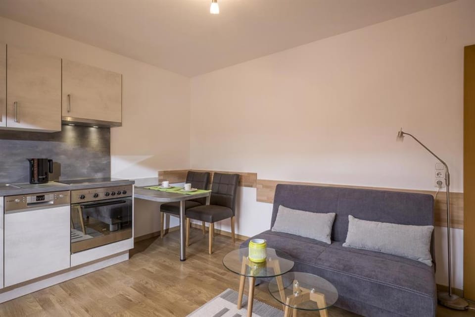 Kitchen or kitchenette, Living room, Seating area, Dining area, oven, stove