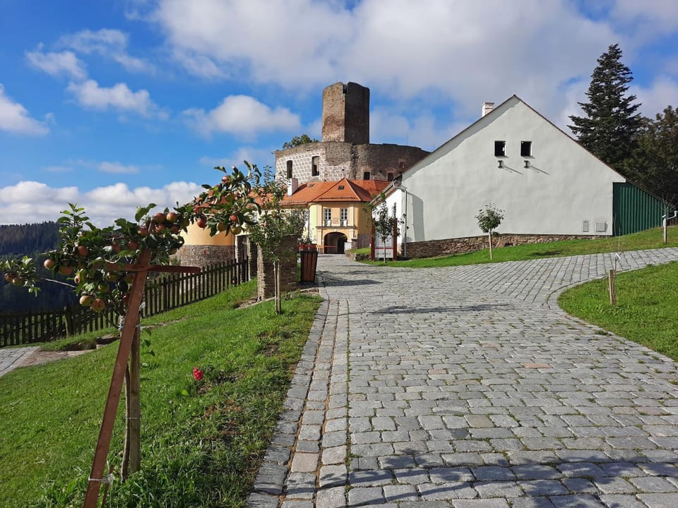 Penzion hradu Svojanov Bed and Breakfast in Czechia
