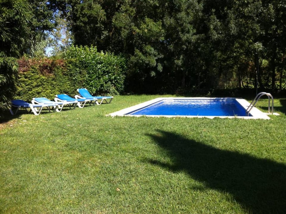 Garden, Swimming pool, Swimming pool, sunbed