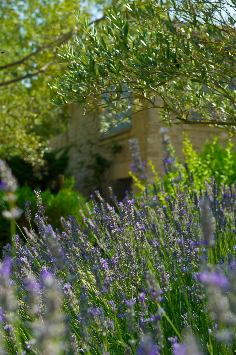 Facade/entrance, Garden