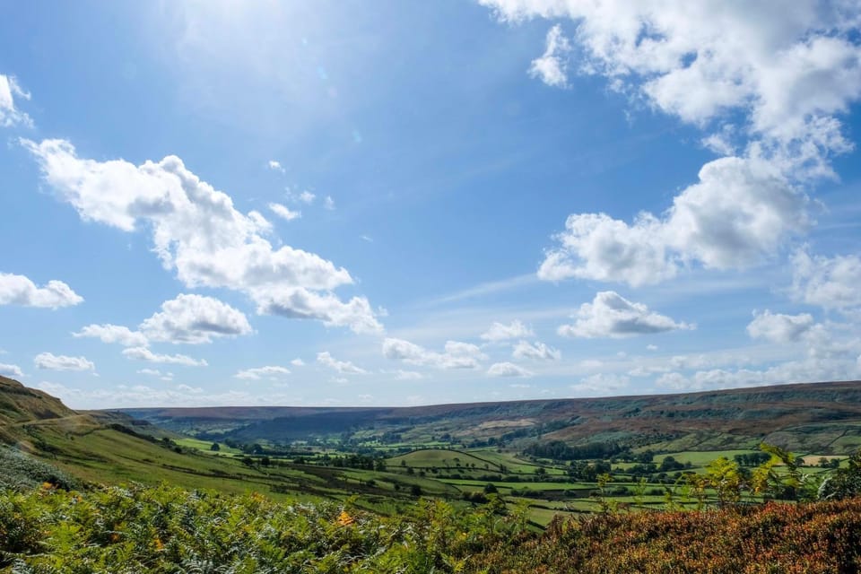 Natural landscape, View (from property/room)