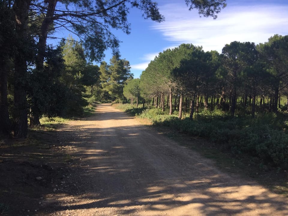 Hiking