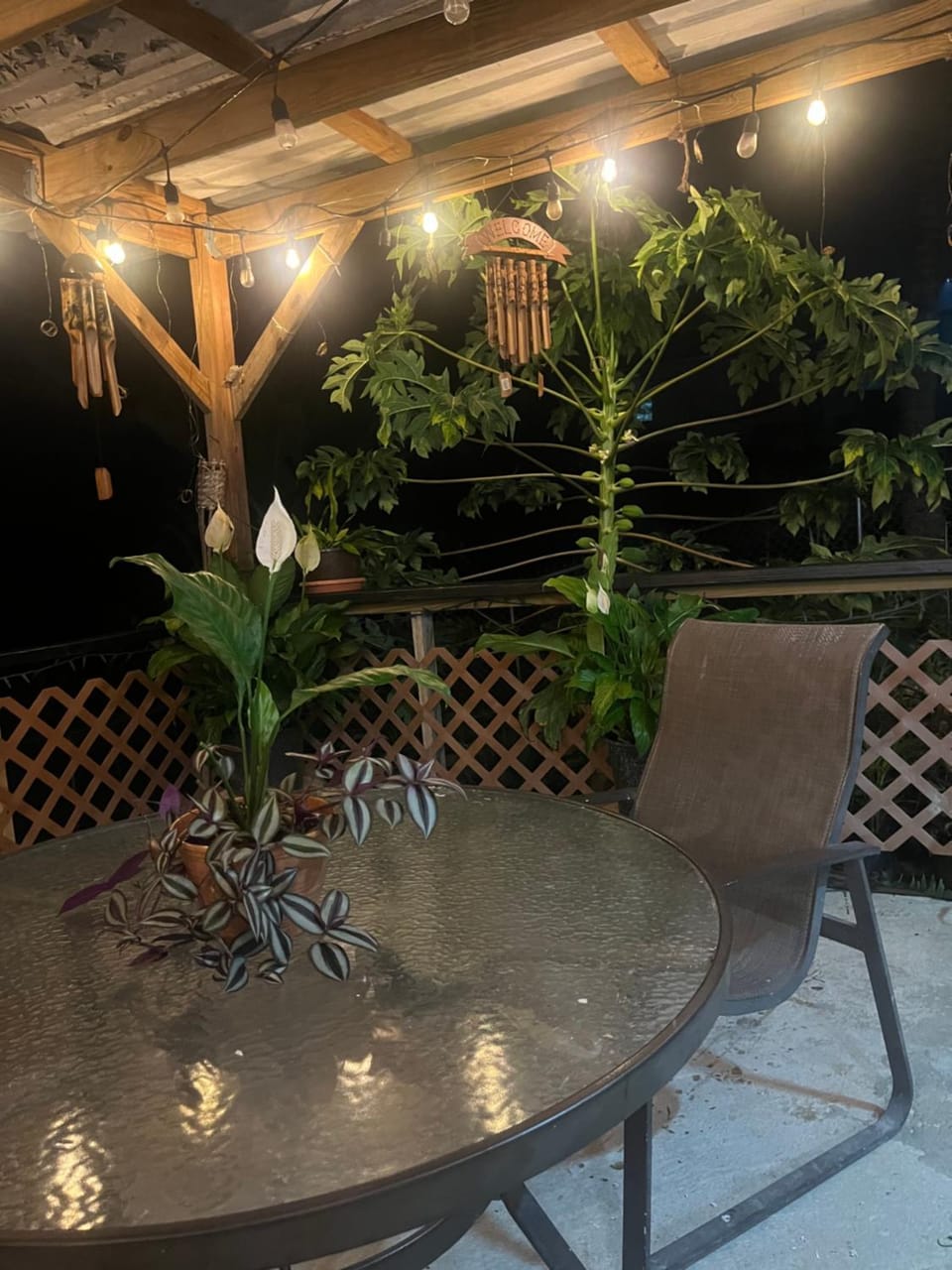 Gavidias Guest House Vacation rental in Puerto Rico