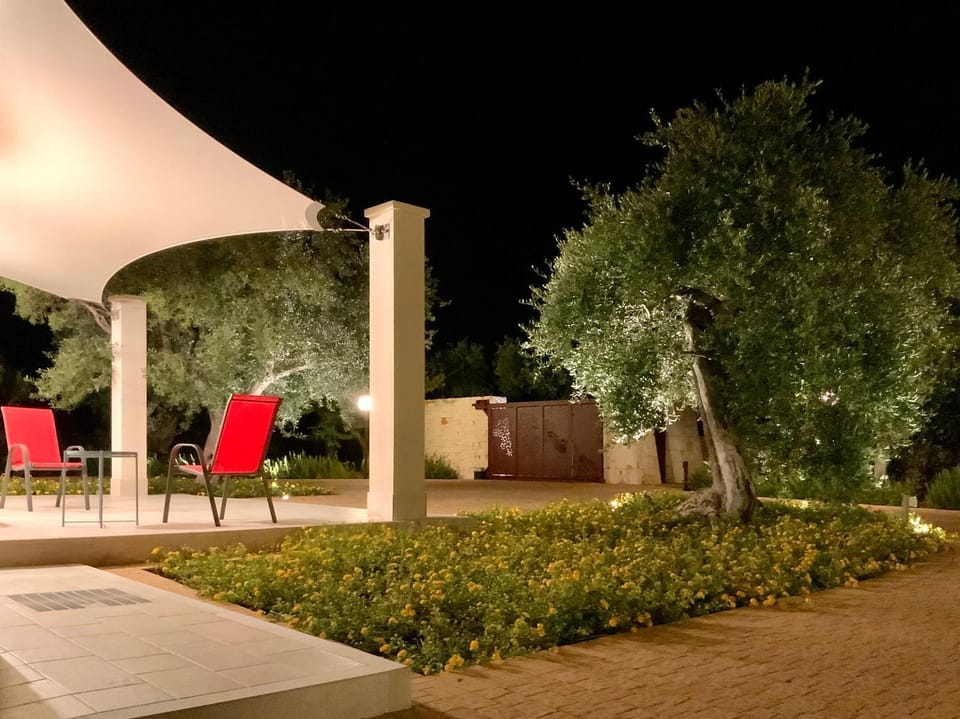 Night, Garden view