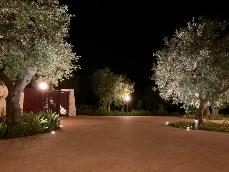 Night, Garden view