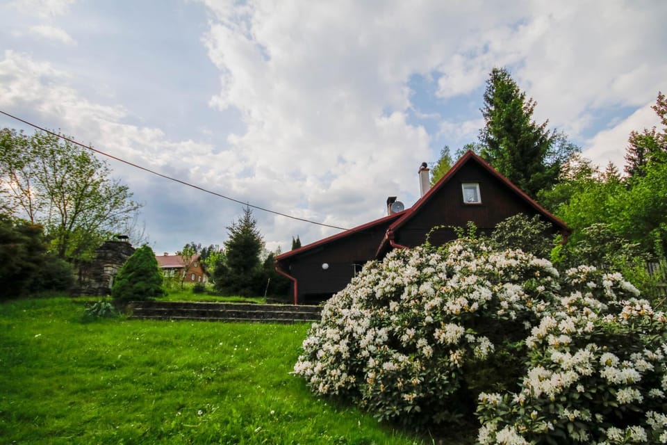 Spring, Day, Natural landscape, Garden, Garden view