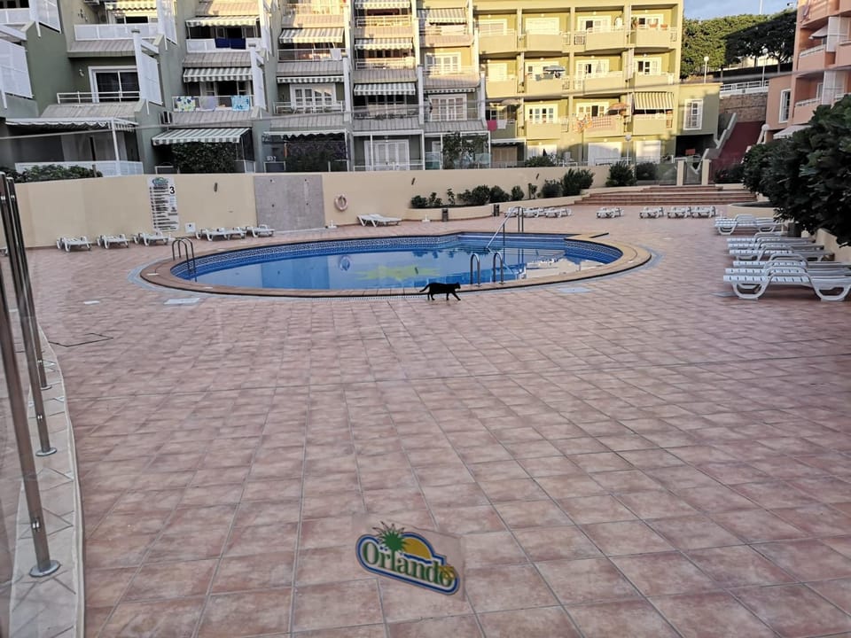 Swimming pool, Swimming pool