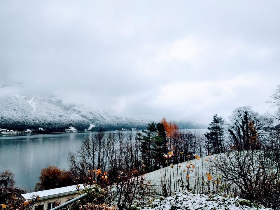 Winter, View (from property/room), Garden view