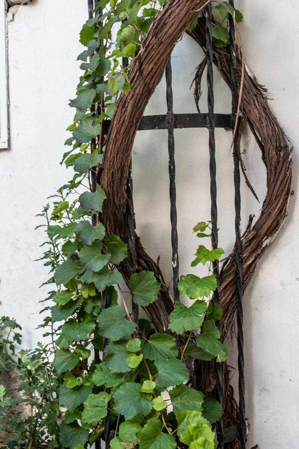 Dimora del Castellano Apartment in Province of Taranto